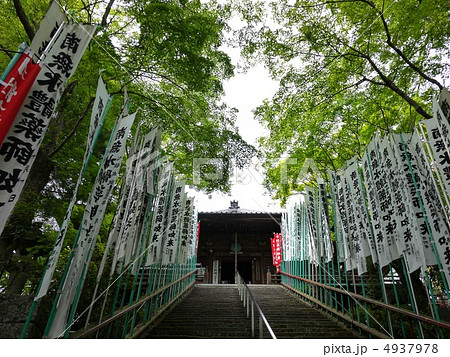 愛知県の真福寺 4937978