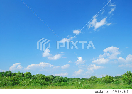 夏イメージ　 4938261