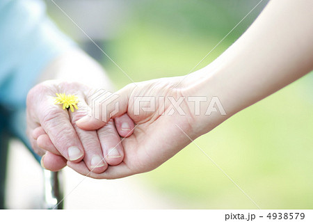 シニアの手をとる シニアの手をとる 4938579