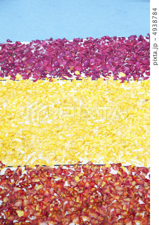 薔薇の花びら 4938784