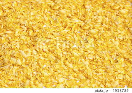 薔薇の花びら 4938785