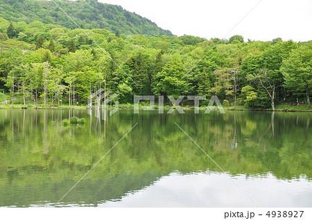新緑の湖畔 新緑の湖畔 4938927
