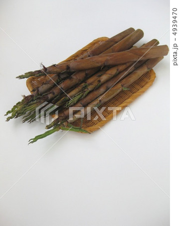 ハチク ハチク 4939470