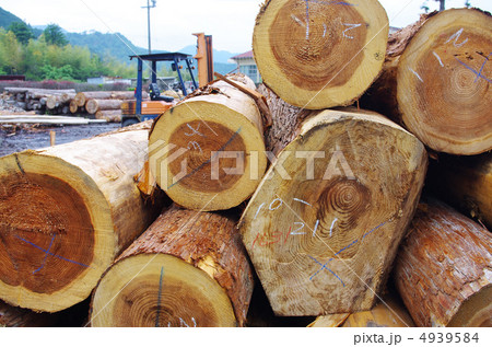 材木置き場 材木置き場 4939584