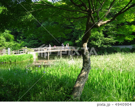 石神井公園 4940904