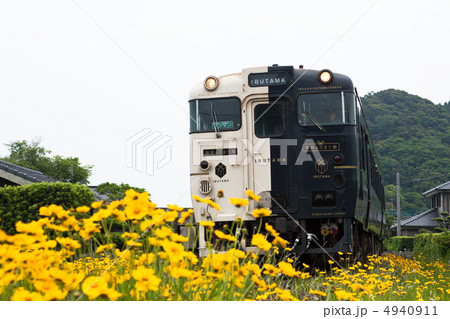 いぶすきのたまて箱 4940911