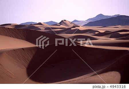 サハラ砂漠の砂丘 4943316