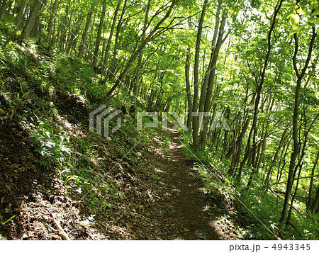 達古武オートキャンプ場 4943345