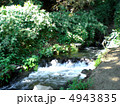 夏の小川のせせらぎ 4943835