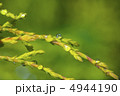 水滴 4944190