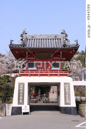 四国霊場第7番札所「十楽寺」山門と桜 4944599