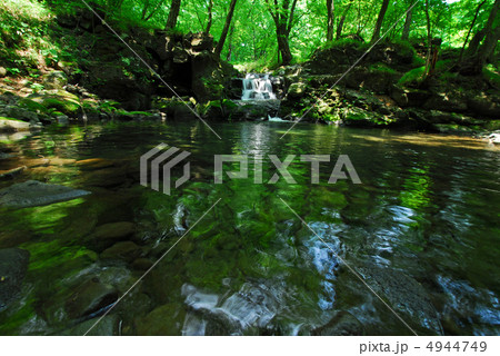 緑の滝 4944749