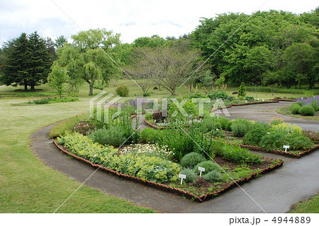 シミック八ヶ岳薬用植物園 山梨県 シミック八ヶ岳薬用植物園 山梨県 4944889
