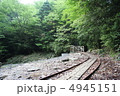 トロッコ路線 4945151