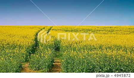 Landscape 4945872