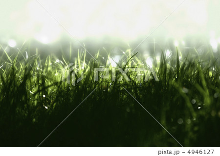 Green grass Green grass 4946127
