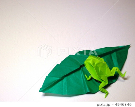 折り紙 カエルの写真素材