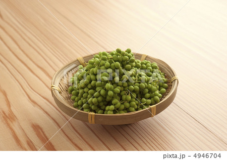 山椒の実 4946704