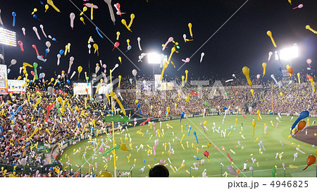 甲子園球場 甲子園球場 4946825