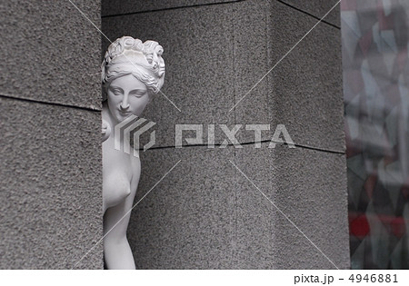 のぞき見 4946881