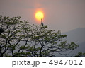沈む夕日と鳥 4947012
