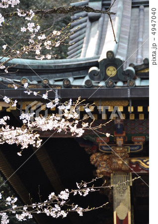 八千戈神社 4947040