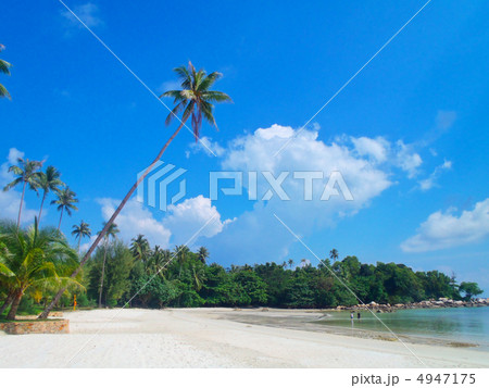 ビンタン島のビーチ ビンタン島のビーチ 4947175