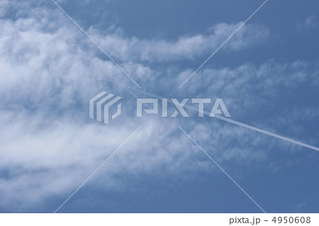 空 4950608