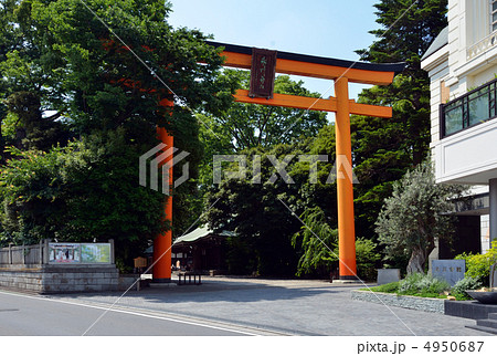 川越散歩・川越氷川神社 4950687