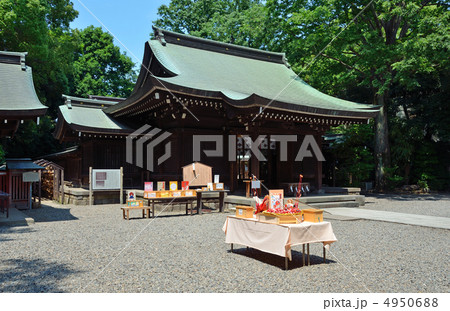 川越散歩・川越氷川神社 川越散歩・川越氷川神社 4950688