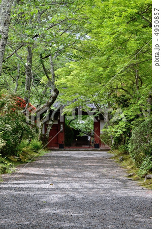常照寺、初夏の参道 常照寺、初夏の参道 4950857