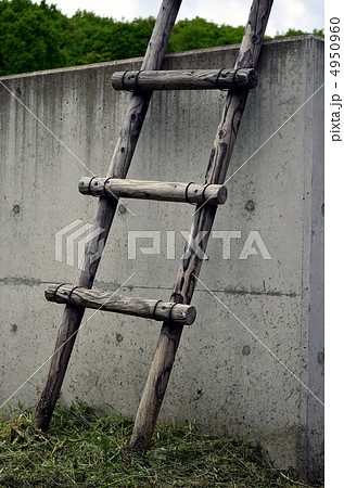 コンクリート塀と木の梯子の写真素材