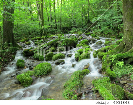 栃木県塩谷町　尚仁沢湧水 4951348