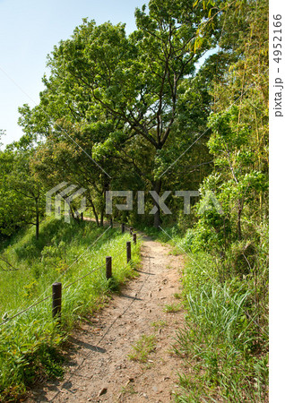 栗木緑地の山道 栗木緑地の山道 4952166