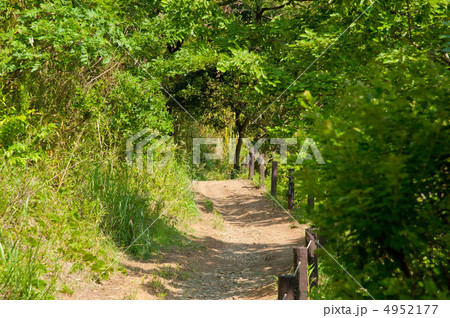 栗木緑地の山道 4952177