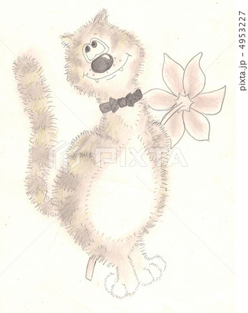 Cat with a flower. picture Cat with a flower. picture 4953227