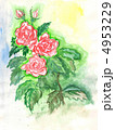rose, watercolor 4953229