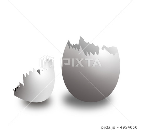 egg shell 4954050