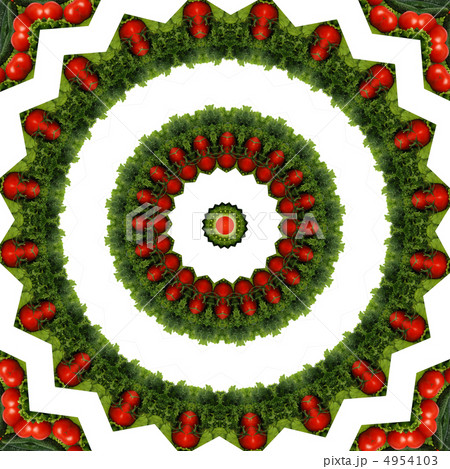 Kaleidoscope vegetable 4954103