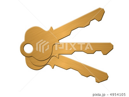 gold key 4954105