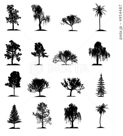 Set of trees Set of trees 4954487