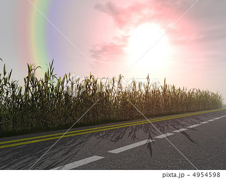 Rainbow and bright sunrise 4954598