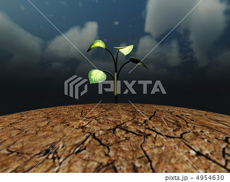 Plant on the cracked dry ground 4954630
