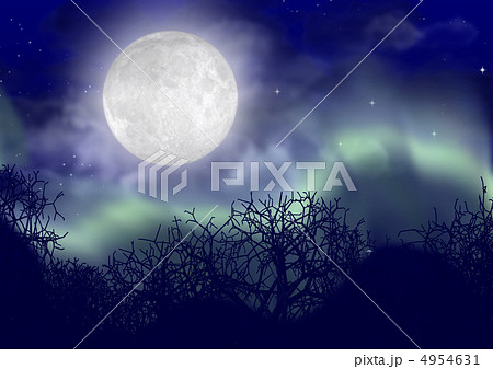 polar lights 4954631