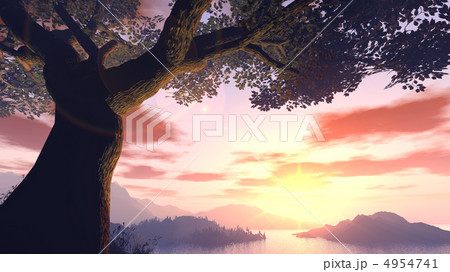 Sunset 4954741