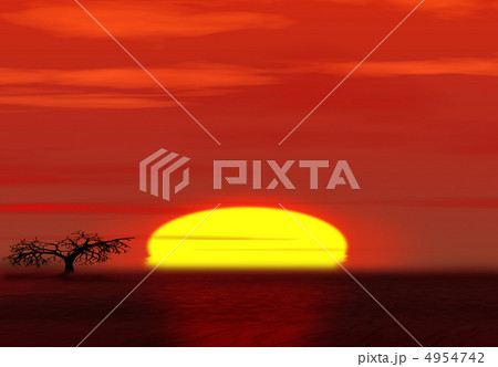 Sunset in desert 4954742