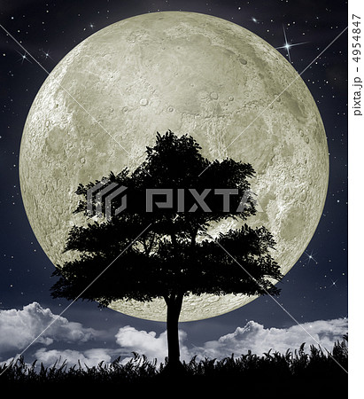 Silhouette of a tree against the big moon 4954847