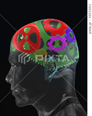 Transparent man's skull with colour curve gears 4955001