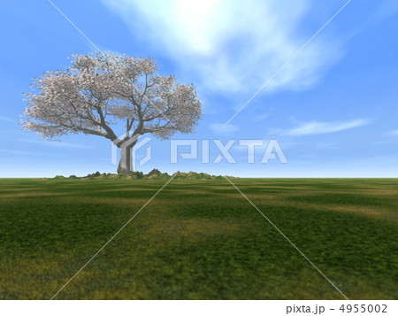 Tree alone 4955002