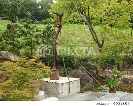徳島植物園の釣瓶 徳島植物園の釣瓶 4955307